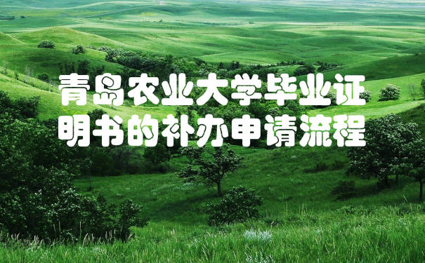 青岛农业大学毕业证明书的补申请流程